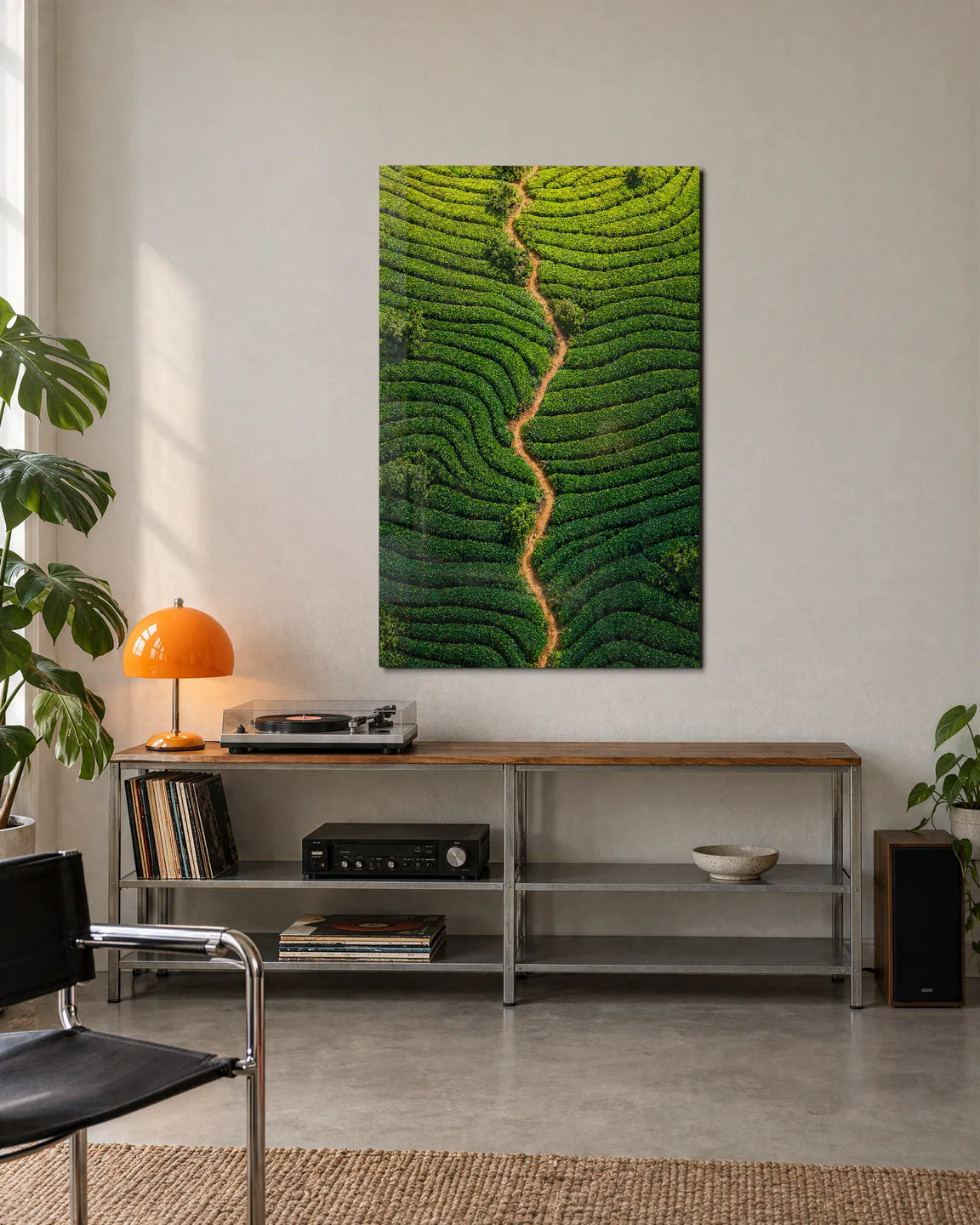 Rows around the Path — shown in a living space