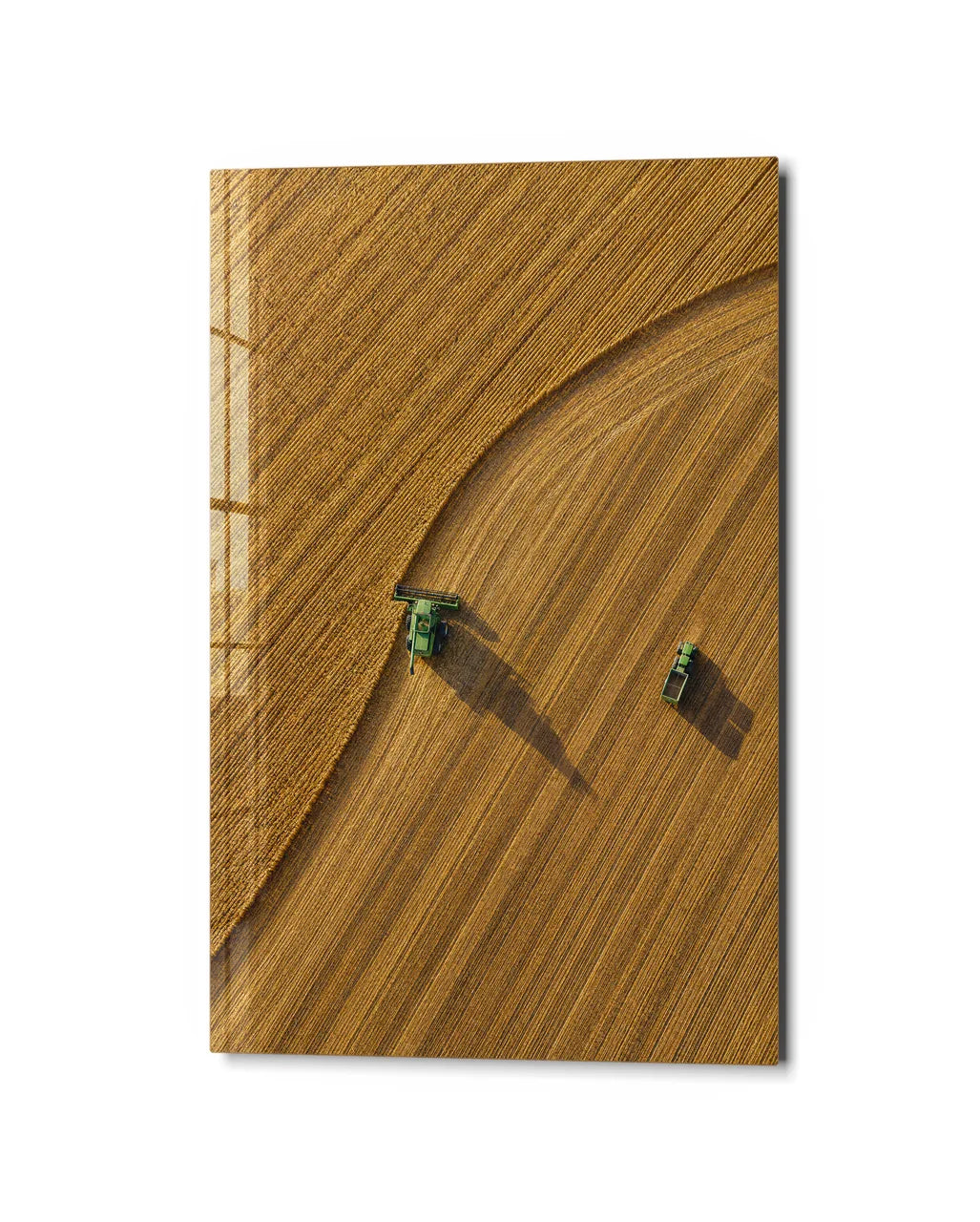 Harvest from Above — studio view of glass wall art