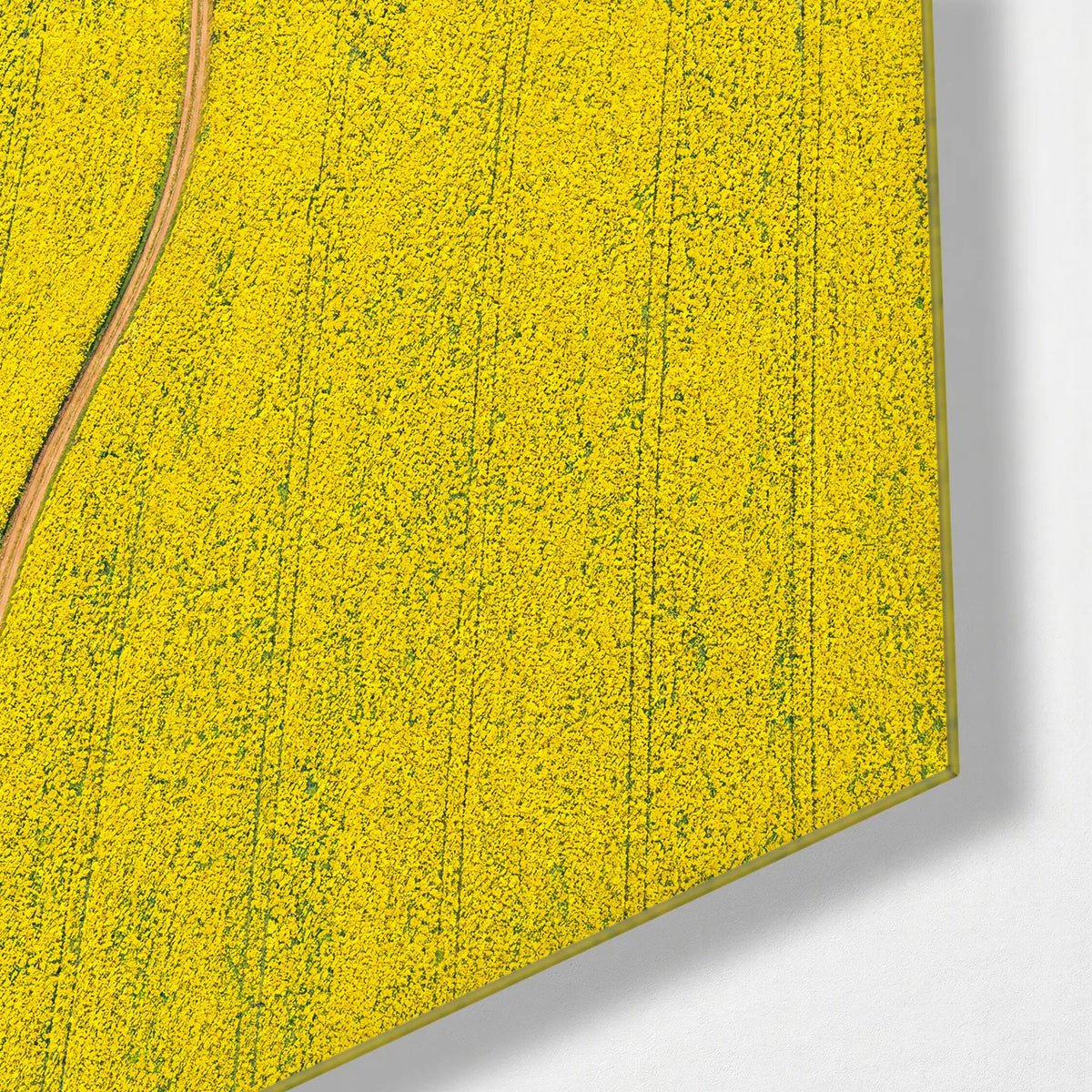 Yellow Field Edge — corner detail of glass wall art