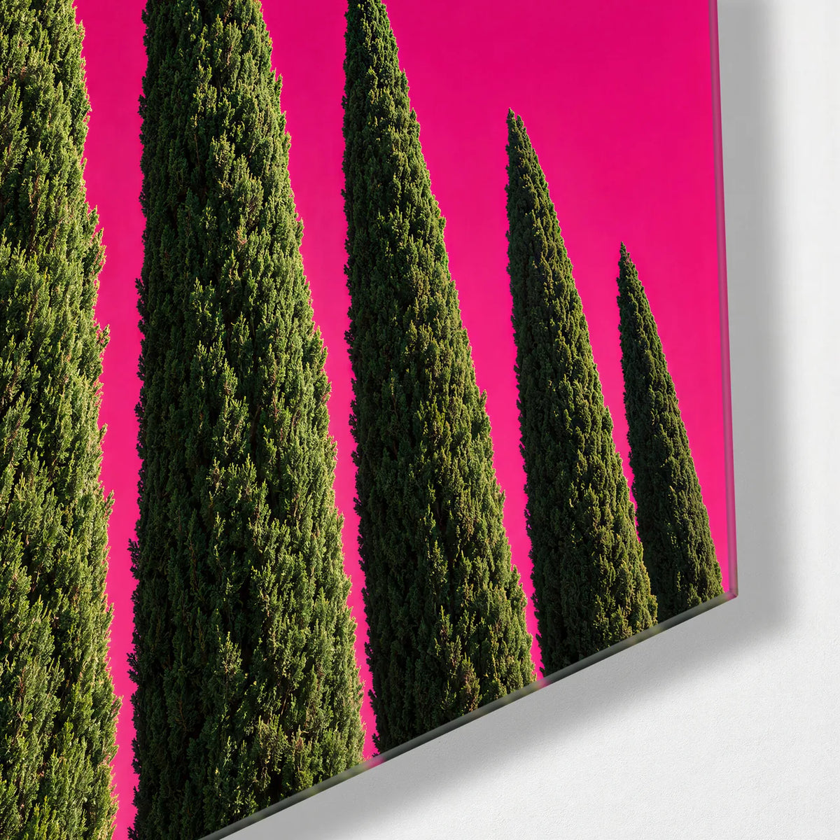 Cypress in Pink — corner detail of glass wall art