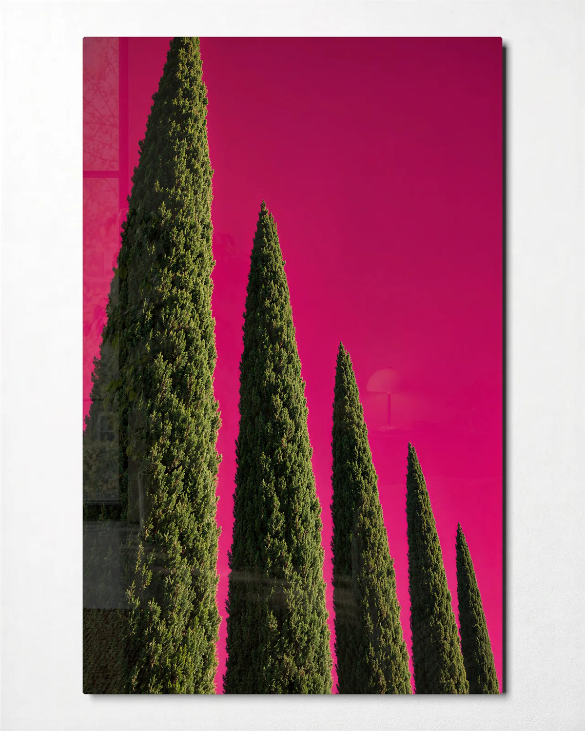 Cypress in Pink — front view of glass wall art