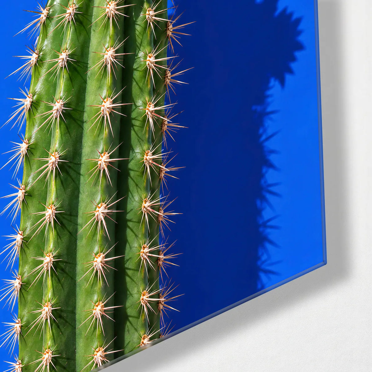 Cactus Wearing Pink — corner detail of glass wall art