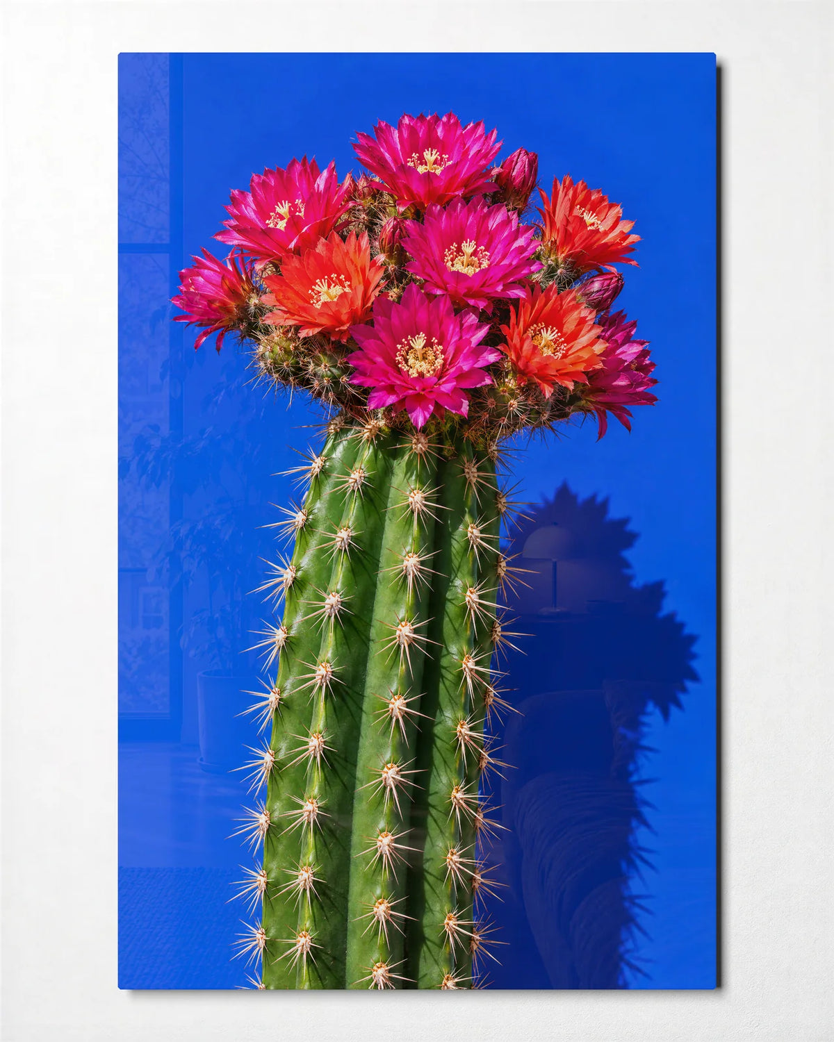 Cactus Wearing Pink — front view of glass wall art