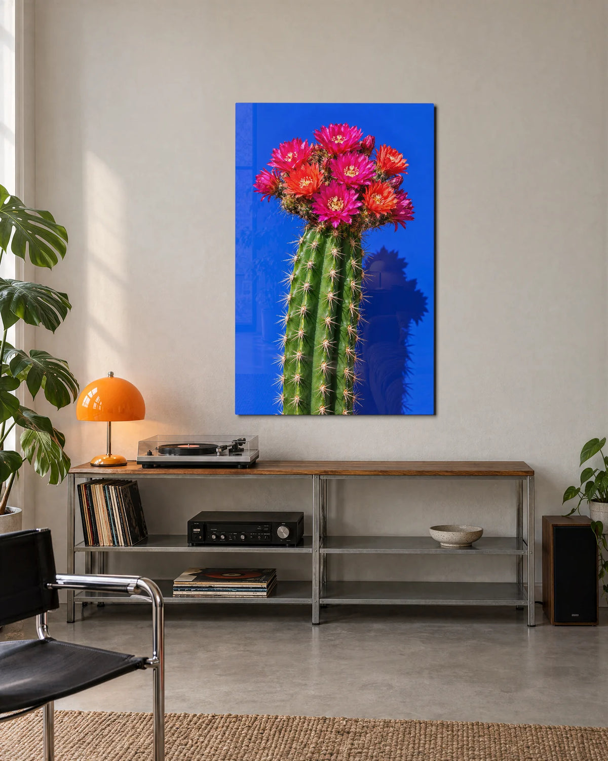 Cactus Wearing Pink — shown in a living space