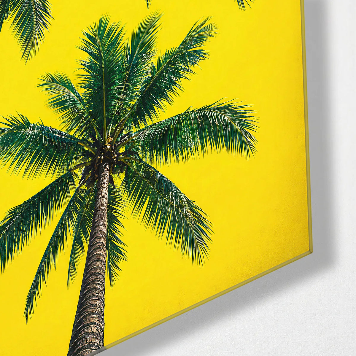 Three Palms Above — corner detail of glass wall art
