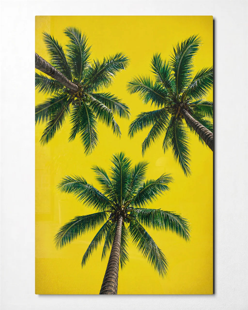 Three Palms Above — front view of glass wall art