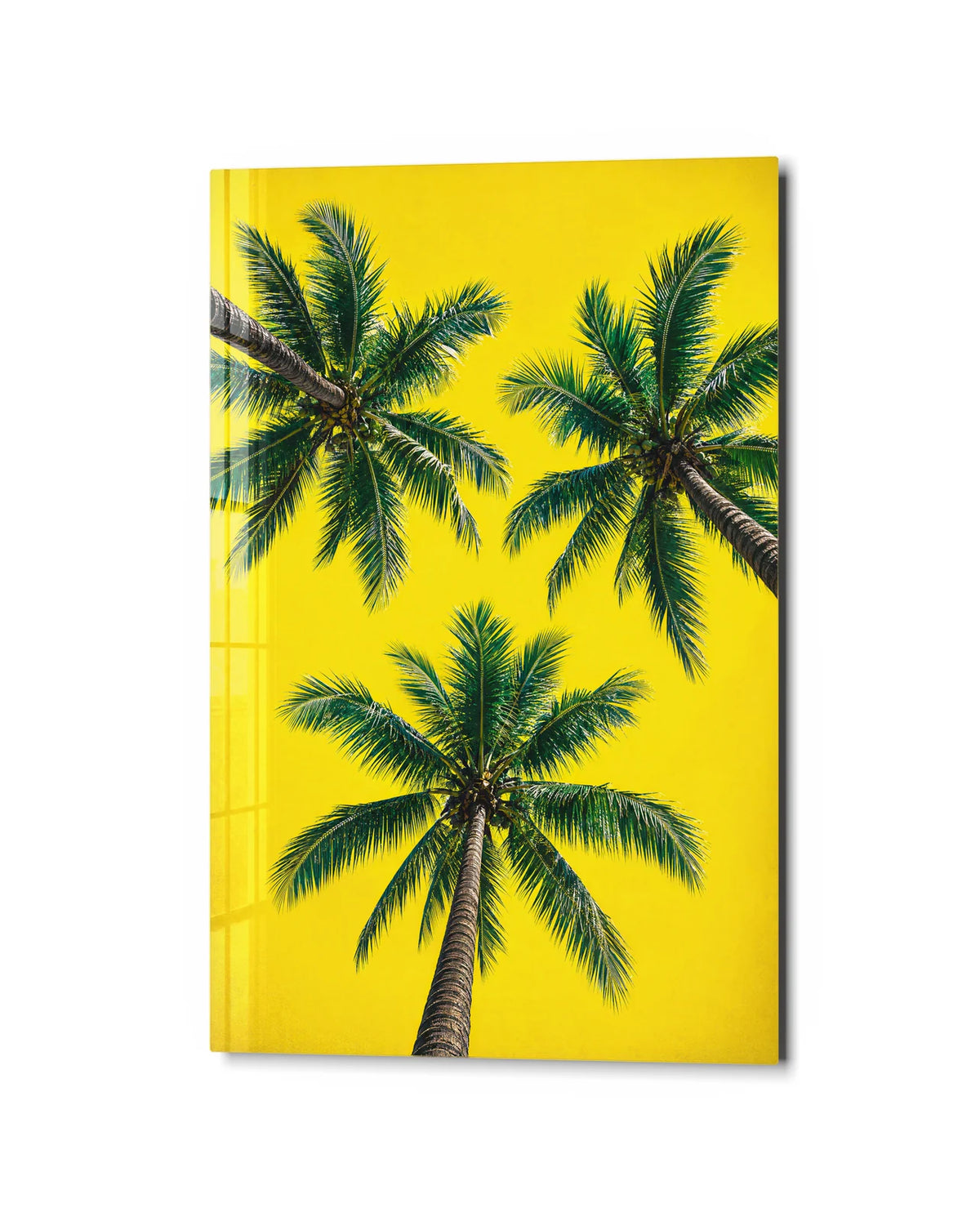 Three Palms Above — studio view of glass wall art