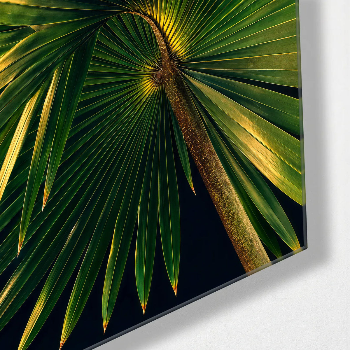 Palm in Light — corner detail of glass wall art
