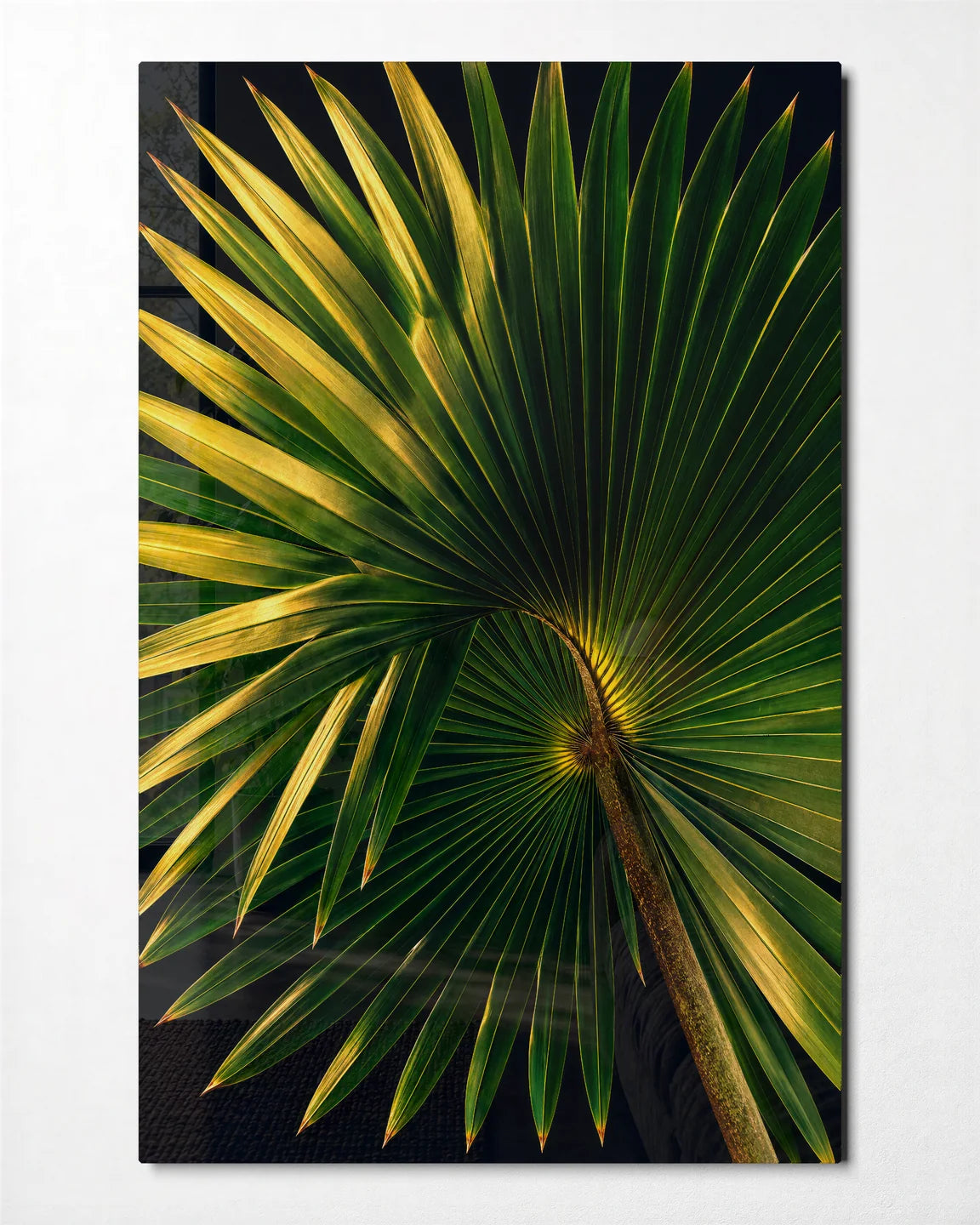 Palm in Light — front view of glass wall art