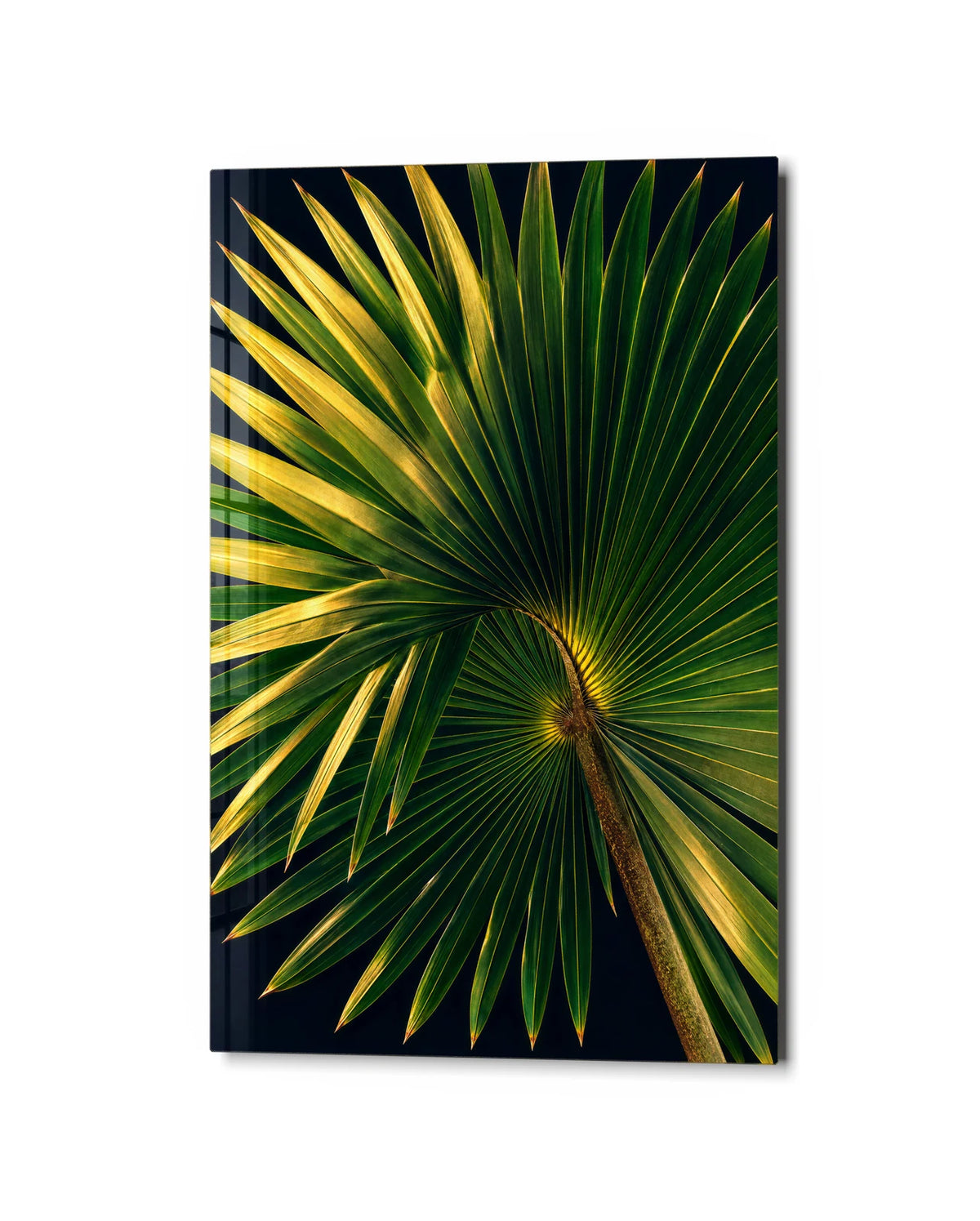Palm in Light — studio view of glass wall art