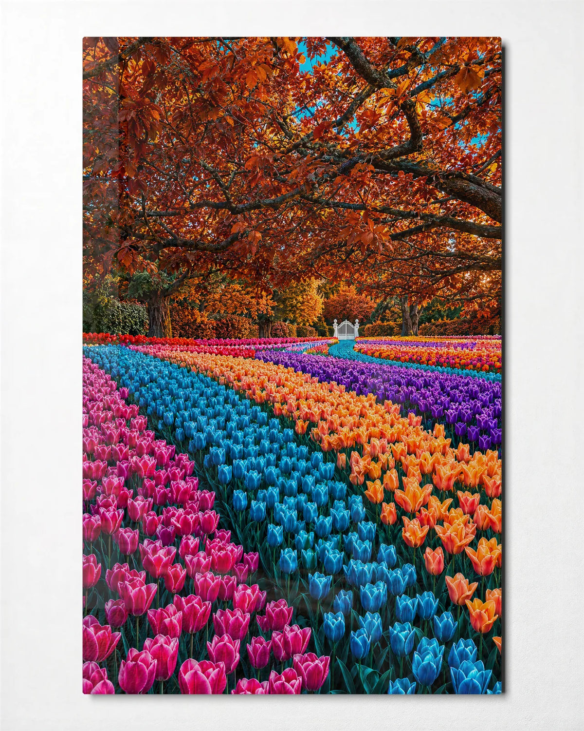 A Garden in Stripes — front view of glass wall art