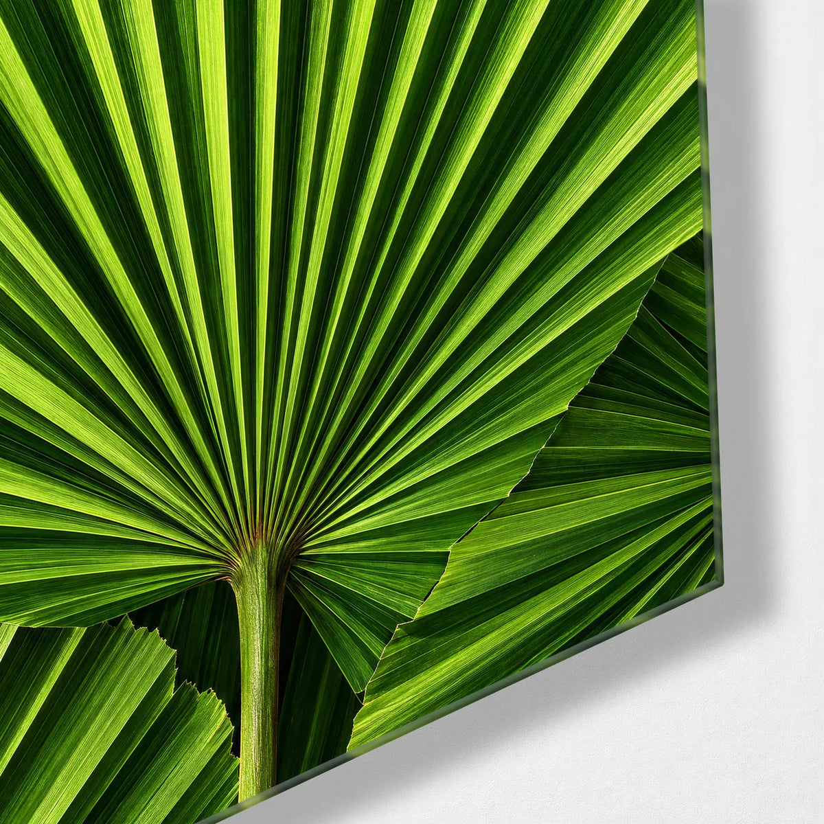 Green Folds — corner detail of glass wall art