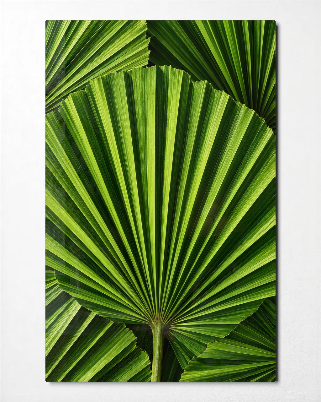 Green Folds — front view of glass wall art