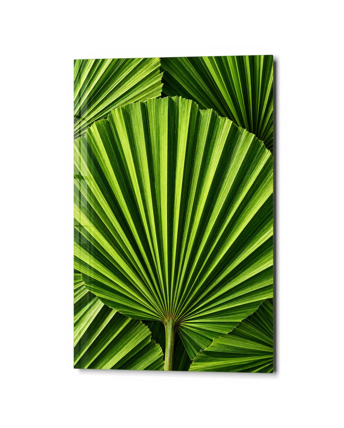 Green Folds — studio view of glass wall art