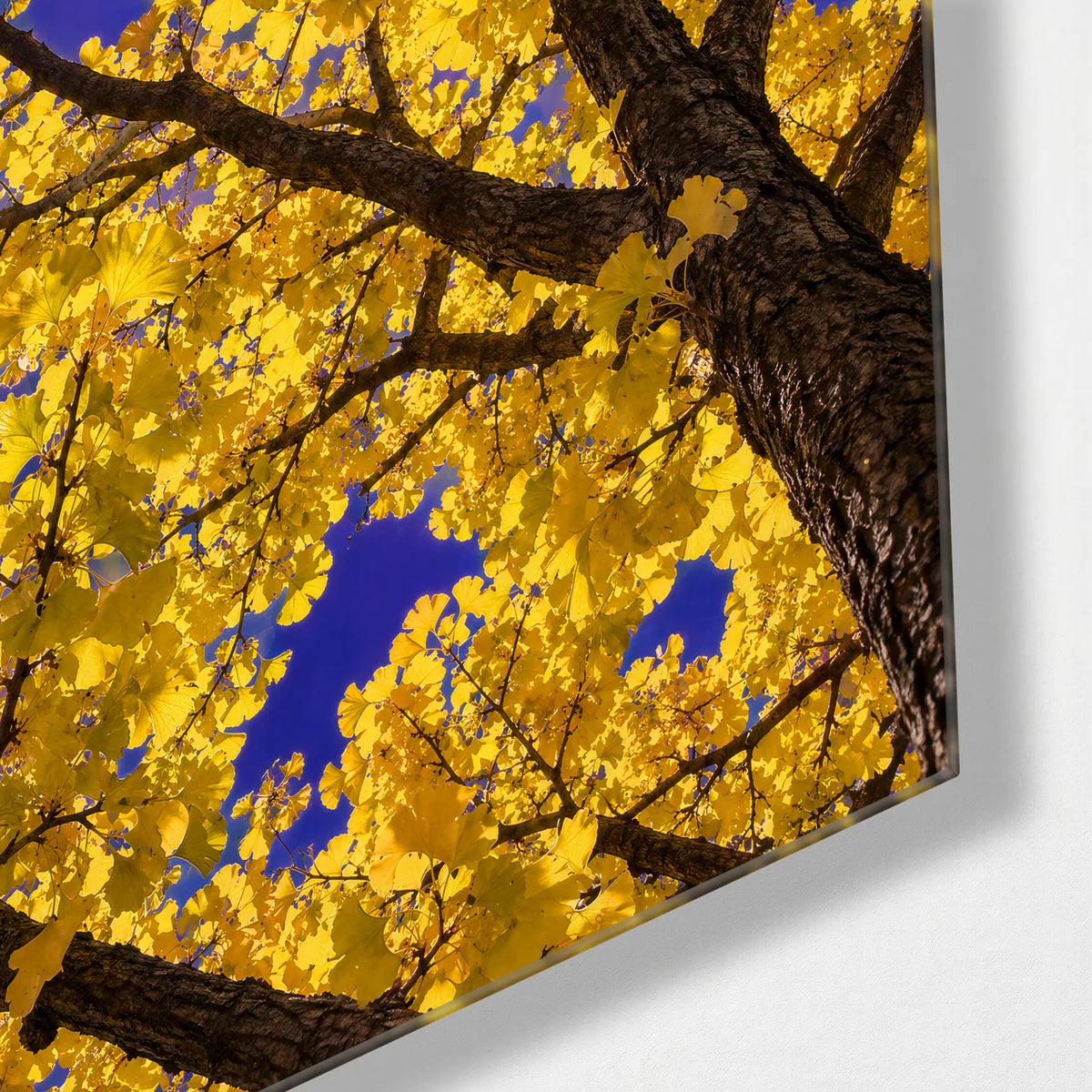 Look Up in Yellow — corner detail of glass wall art