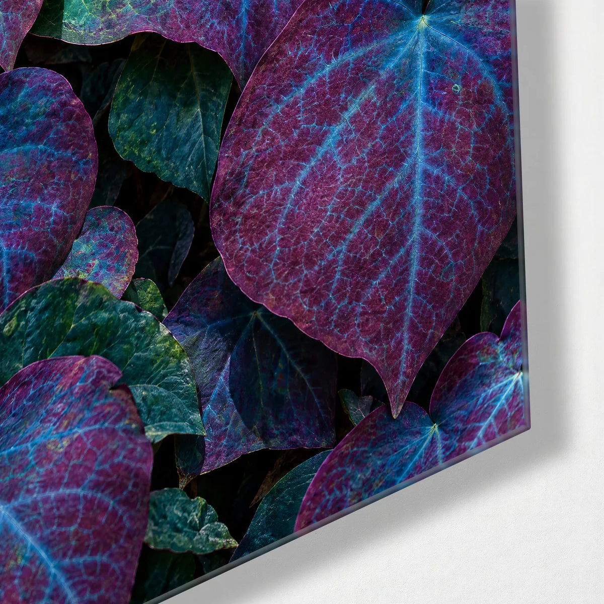 Leaves with a Twist — corner detail of glass wall art
