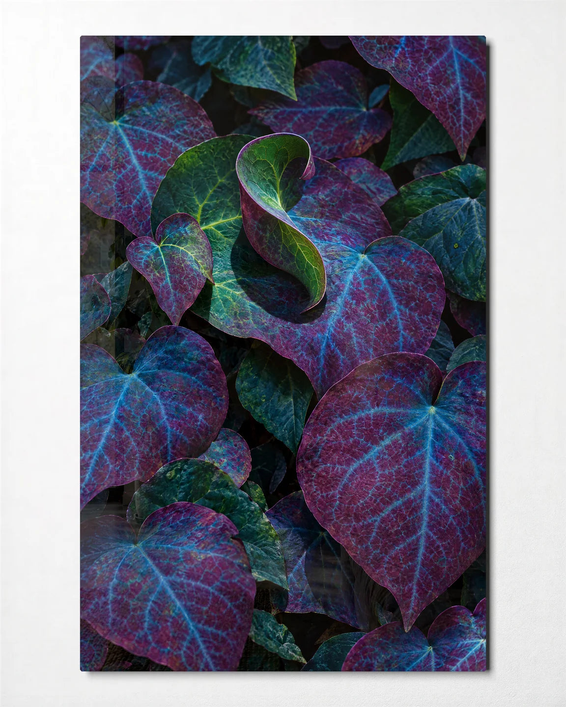 Leaves with a Twist — front view of glass wall art