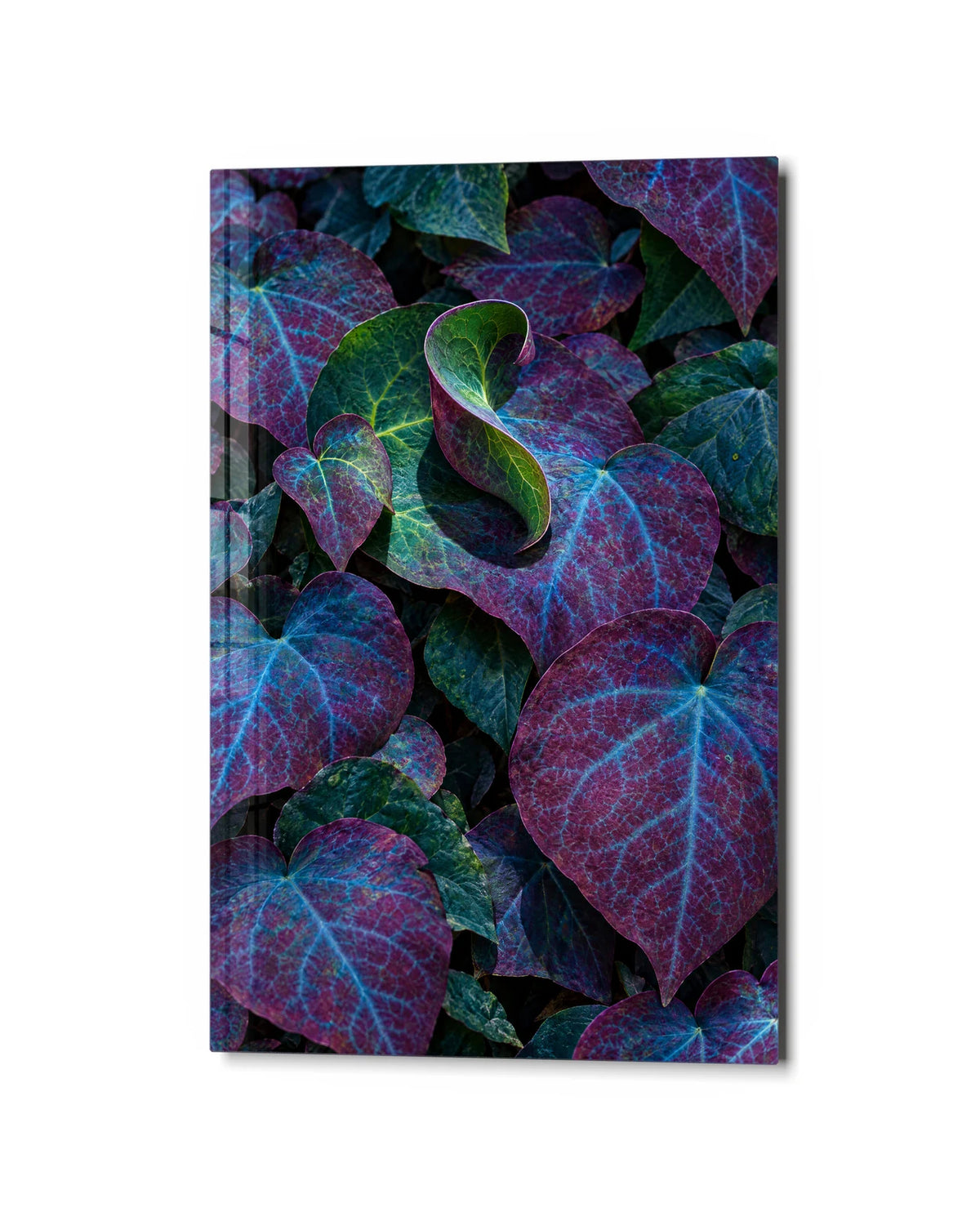 Leaves with a Twist — studio view of glass wall art
