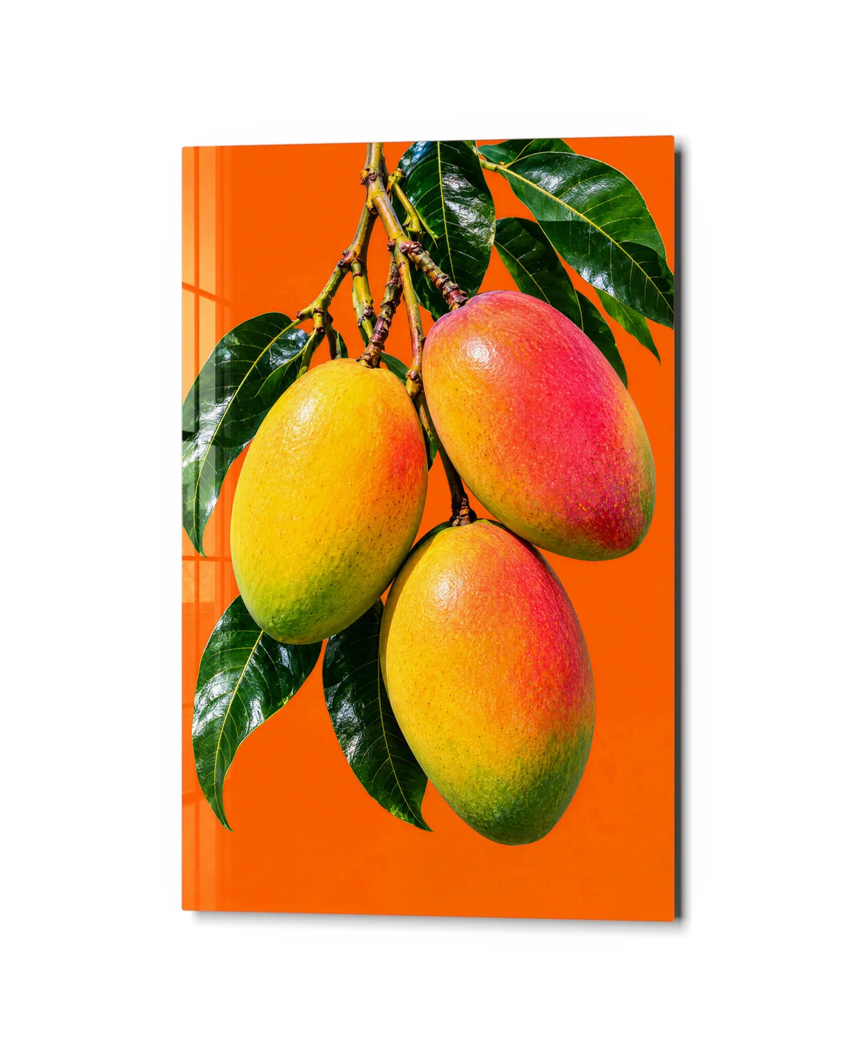 Mango Branch — studio view of glass wall art