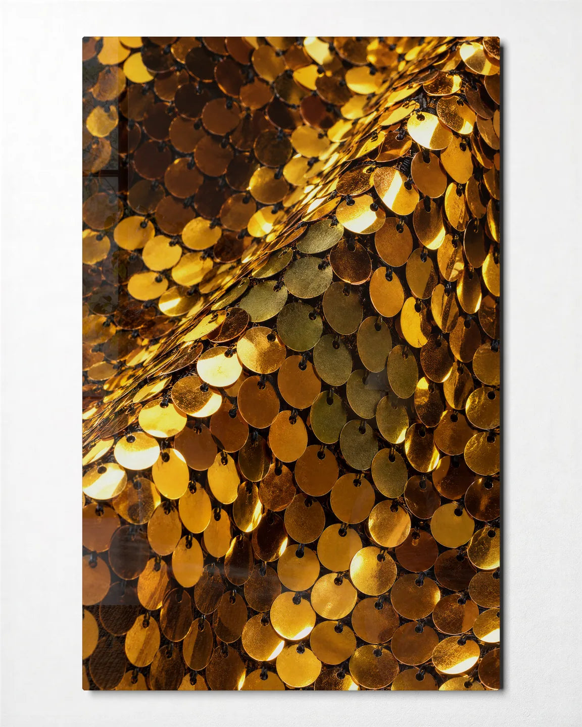 Golden Scales — front view of glass wall art