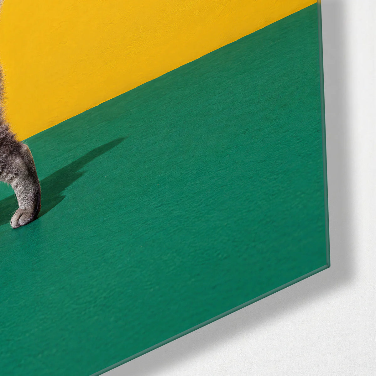 Half a Cat — corner detail of glass wall art
