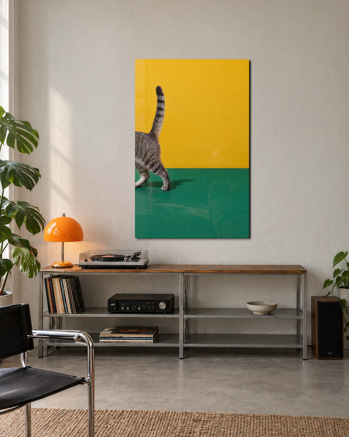 Half a Cat — shown in a living space