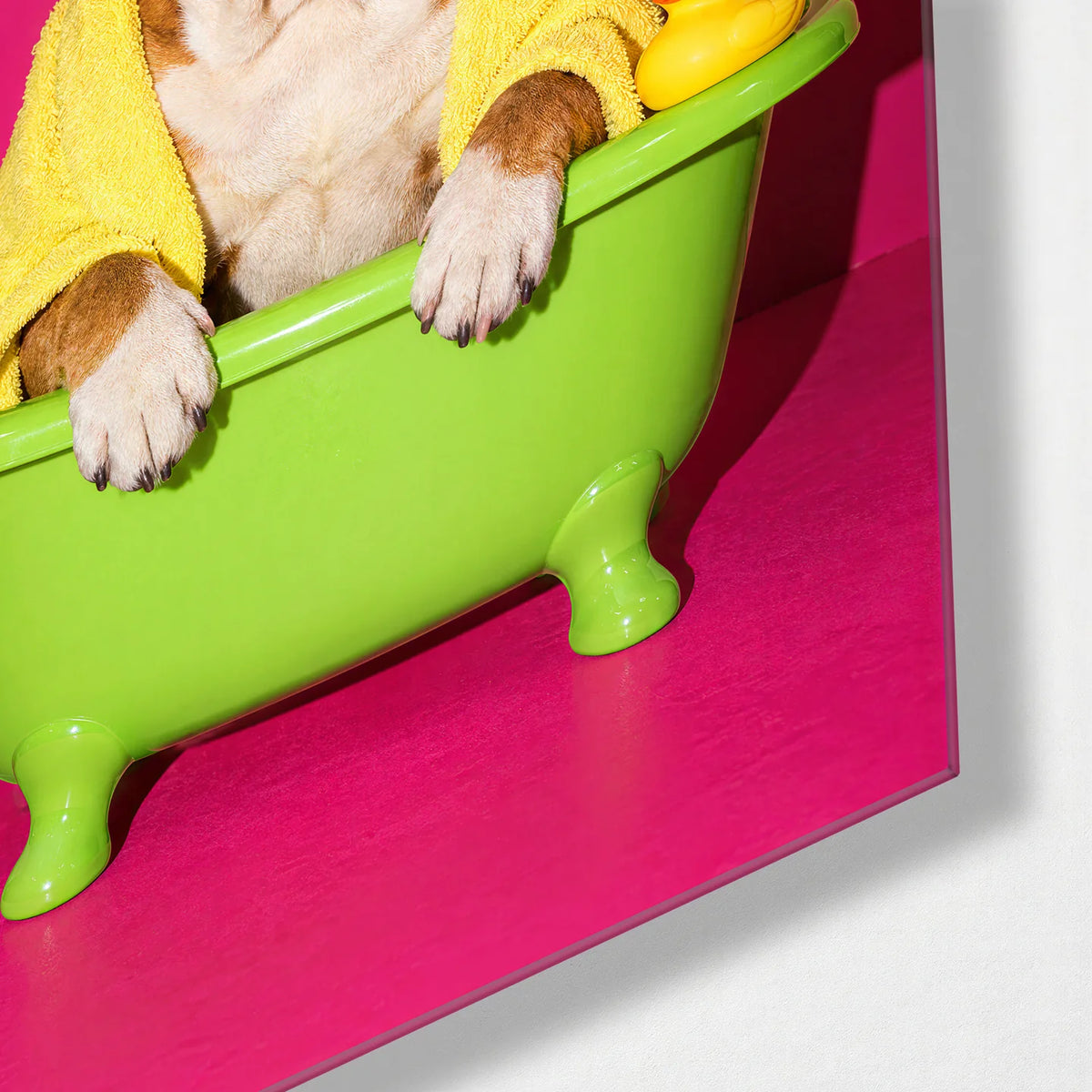 Bath Time Attitude — corner detail of glass wall art