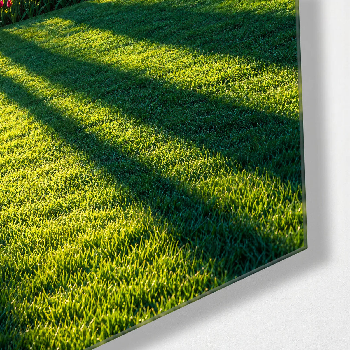 Long Shadows in the Garden — corner detail of glass wall art