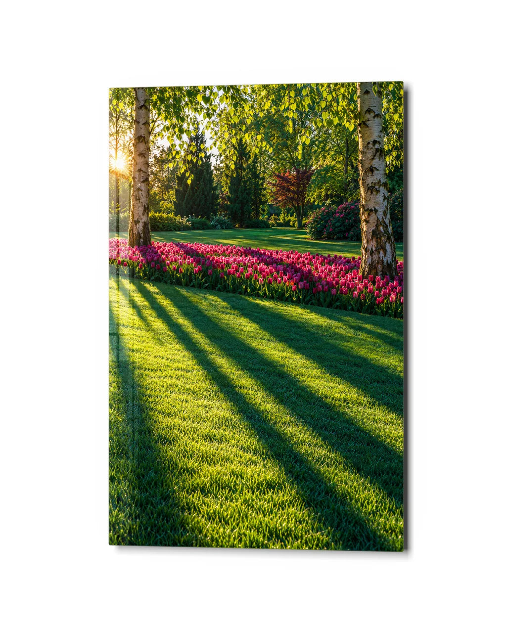 Long Shadows in the Garden — studio view of glass wall art
