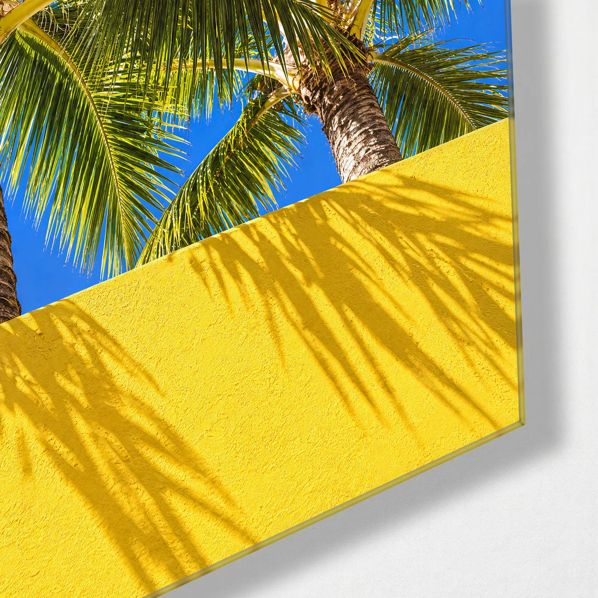 Palms Over Yellow — corner detail of glass wall art