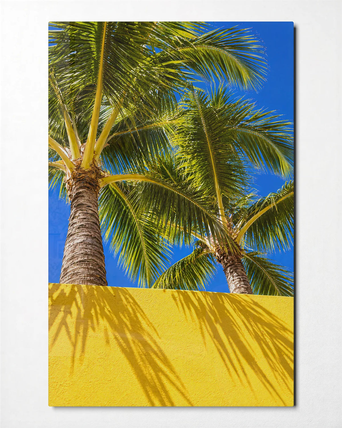 Palms Over Yellow — front view of glass wall art