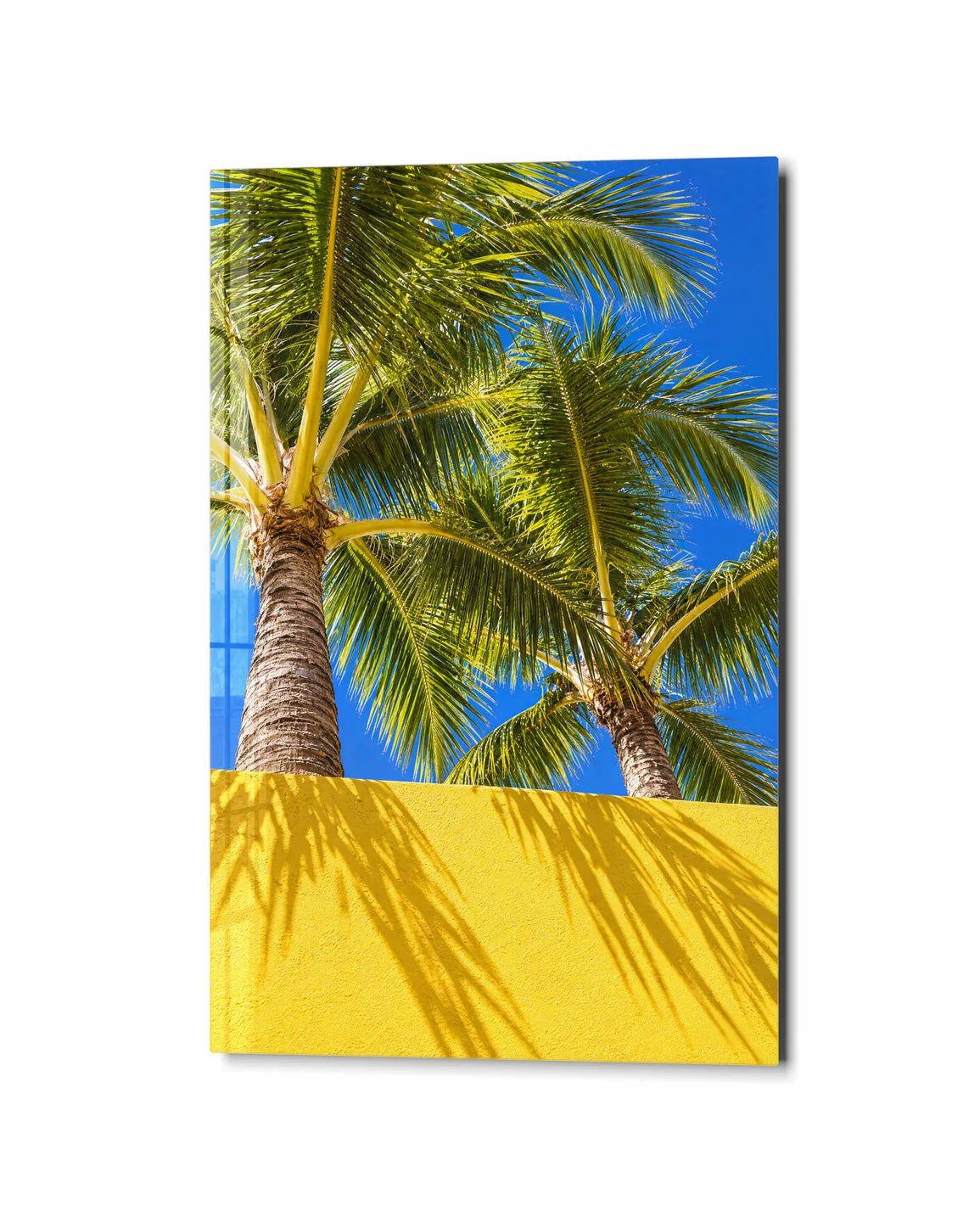 Palms Over Yellow — studio view of glass wall art