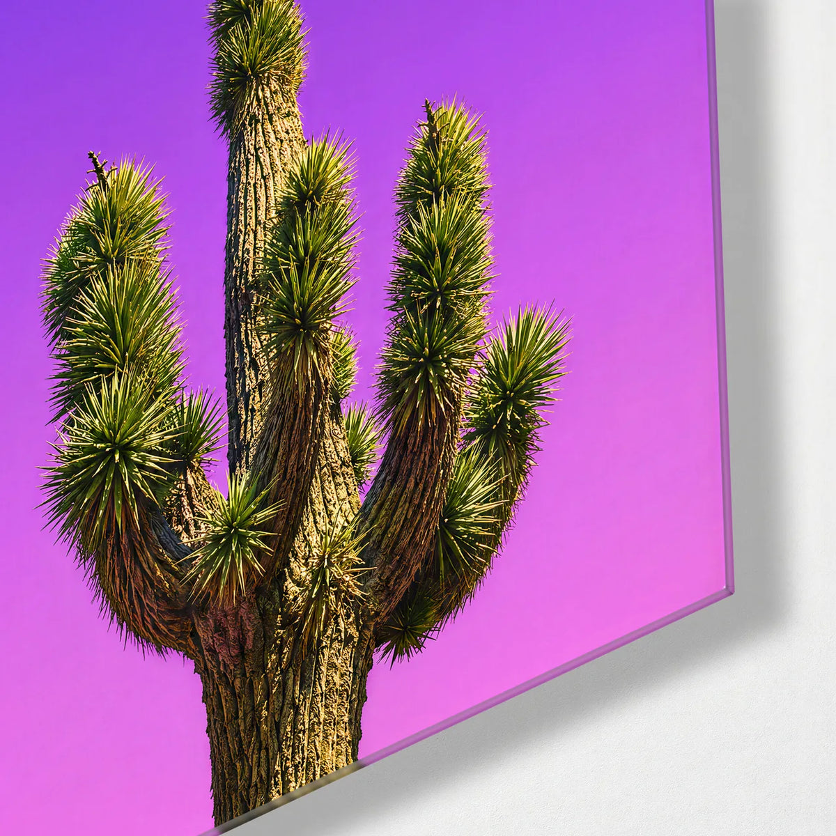Desert Upwards — corner detail of glass wall art