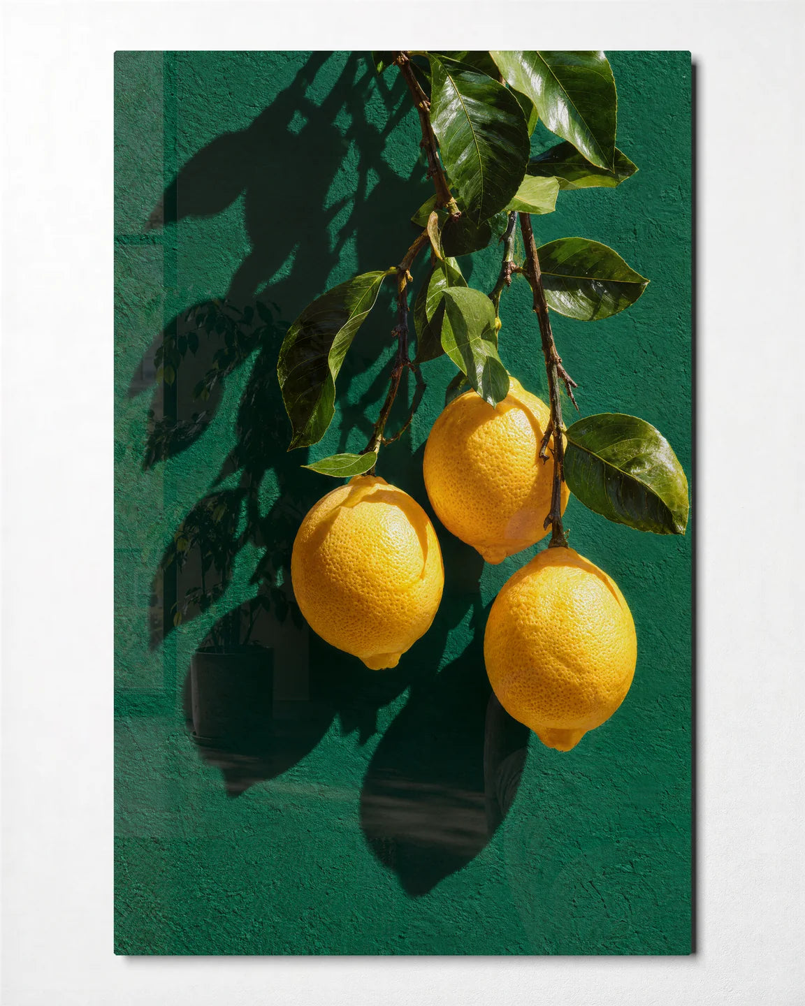 Three Lemons Hanging — front view of glass wall art