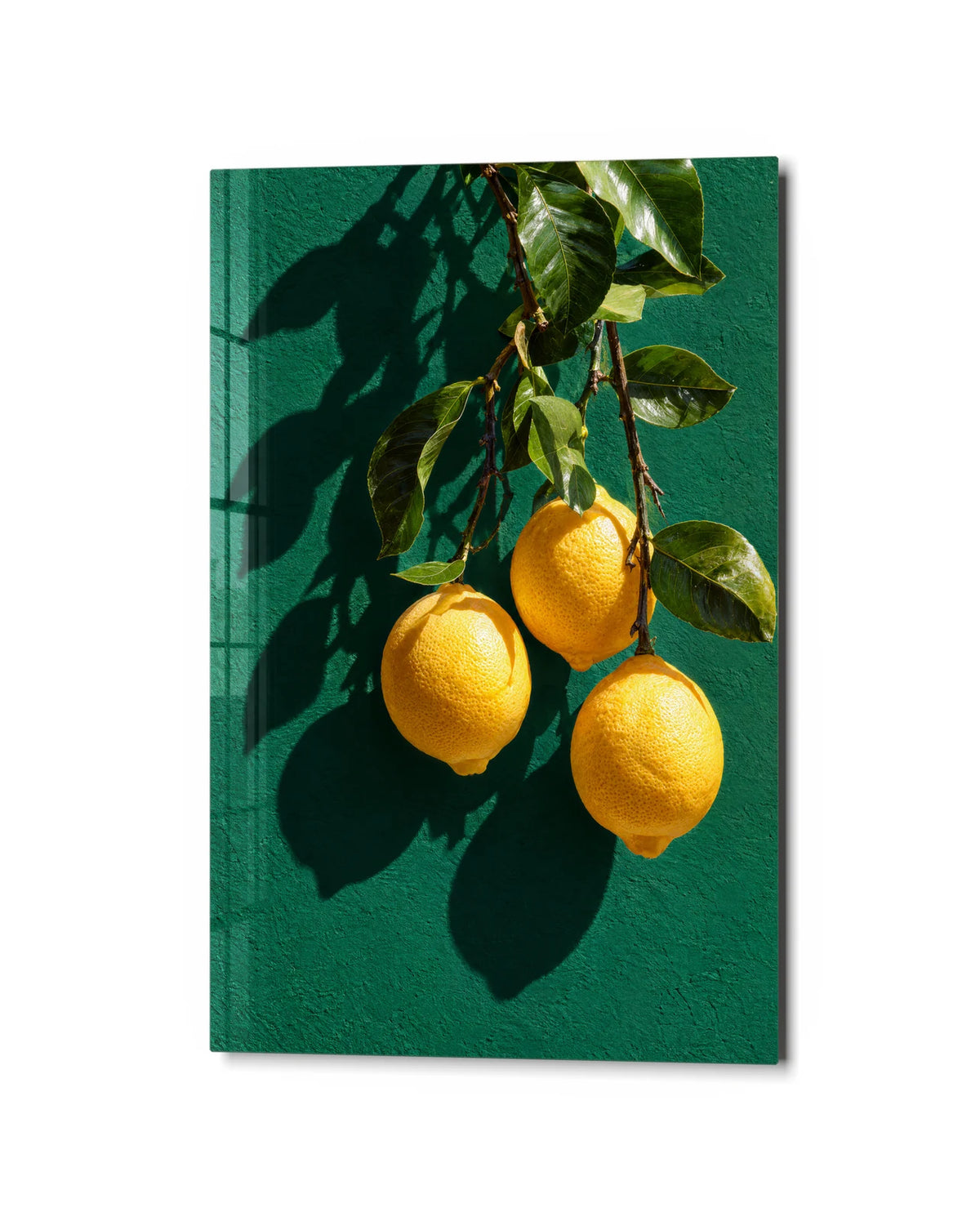 Three Lemons Hanging — studio view of glass wall art