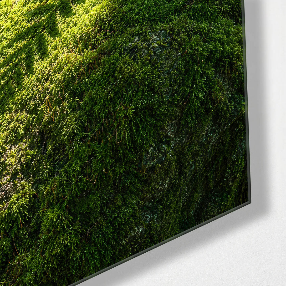 Moss and Fern — corner detail of glass wall art