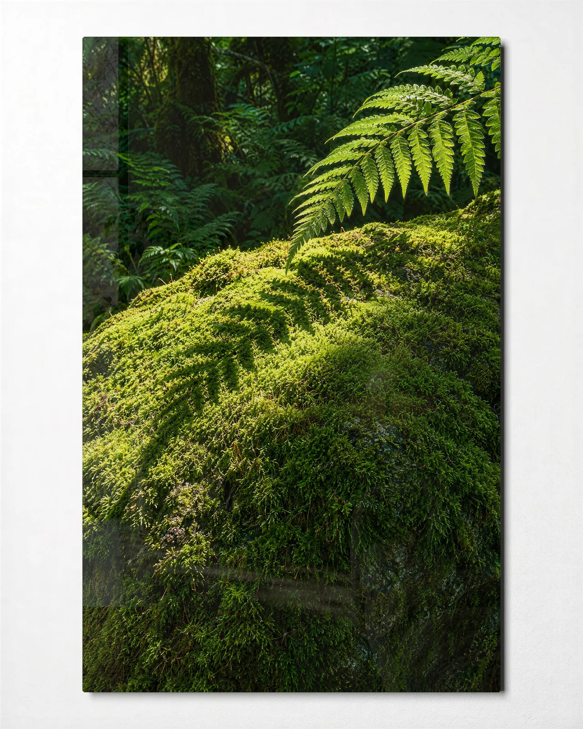 Moss and Fern — front view of glass wall art