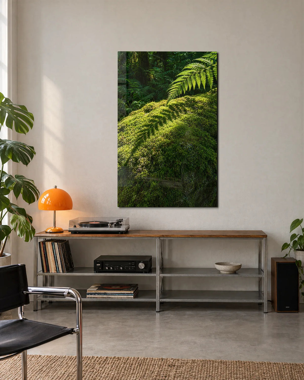 Moss and Fern — shown in a living space