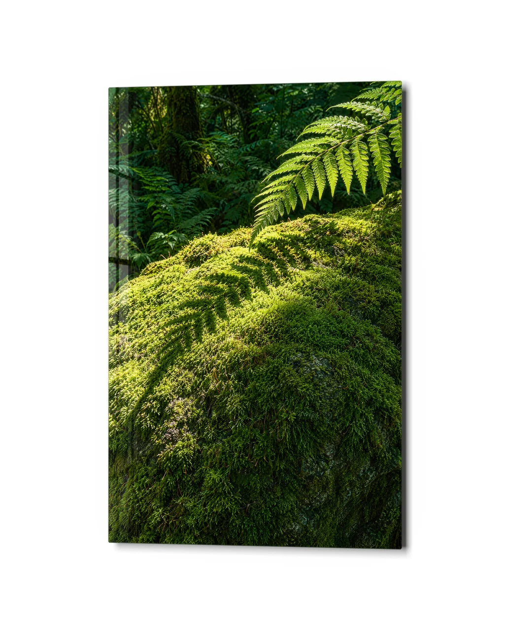 Moss and Fern — studio view of glass wall art