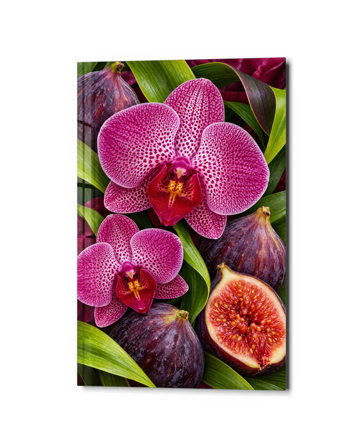 Orchids and Figs — studio view of glass wall art