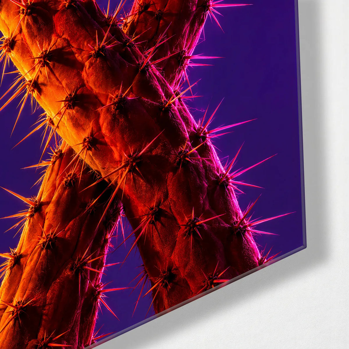Cactus Crossed in Light — corner detail of glass wall art