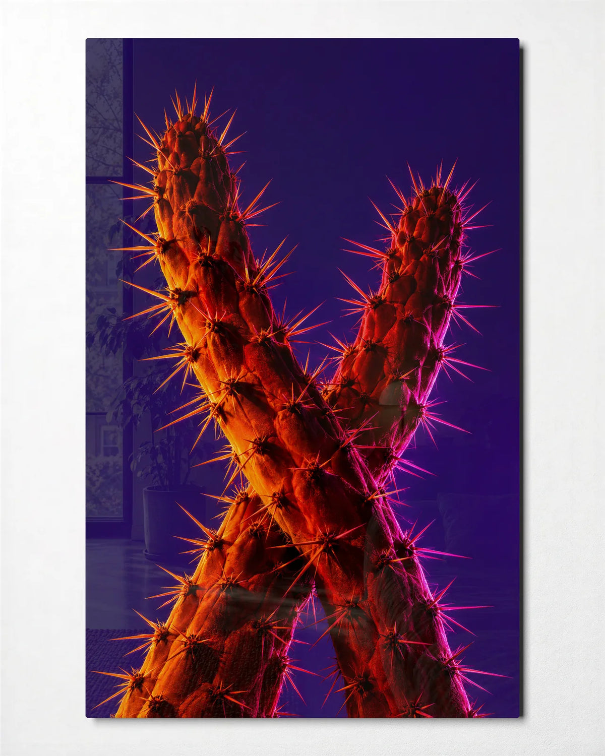 Cactus Crossed in Light — front view of glass wall art