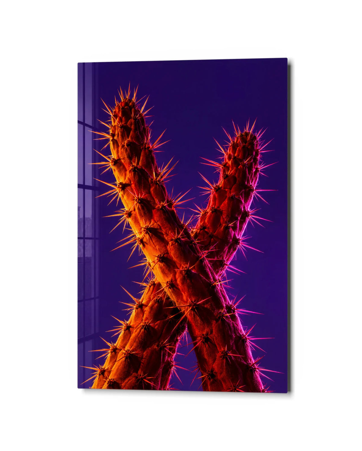 Cactus Crossed in Light — studio view of glass wall art
