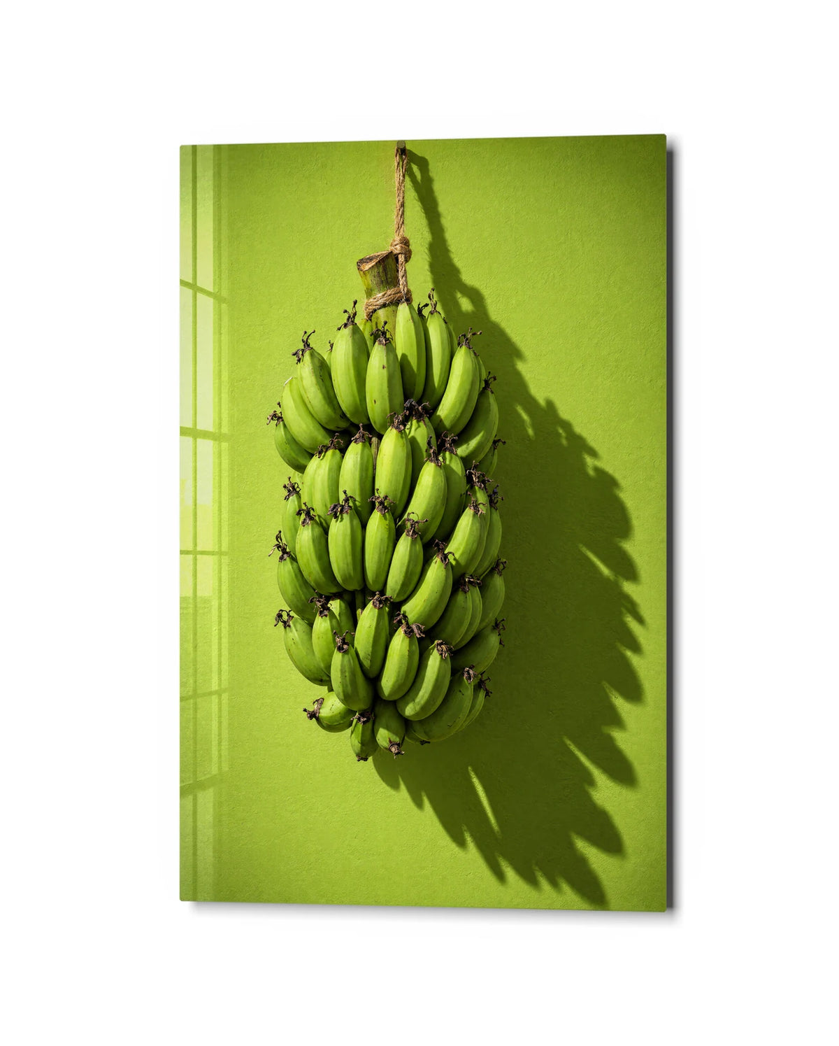 Green Banana Bunch — studio view of glass wall art