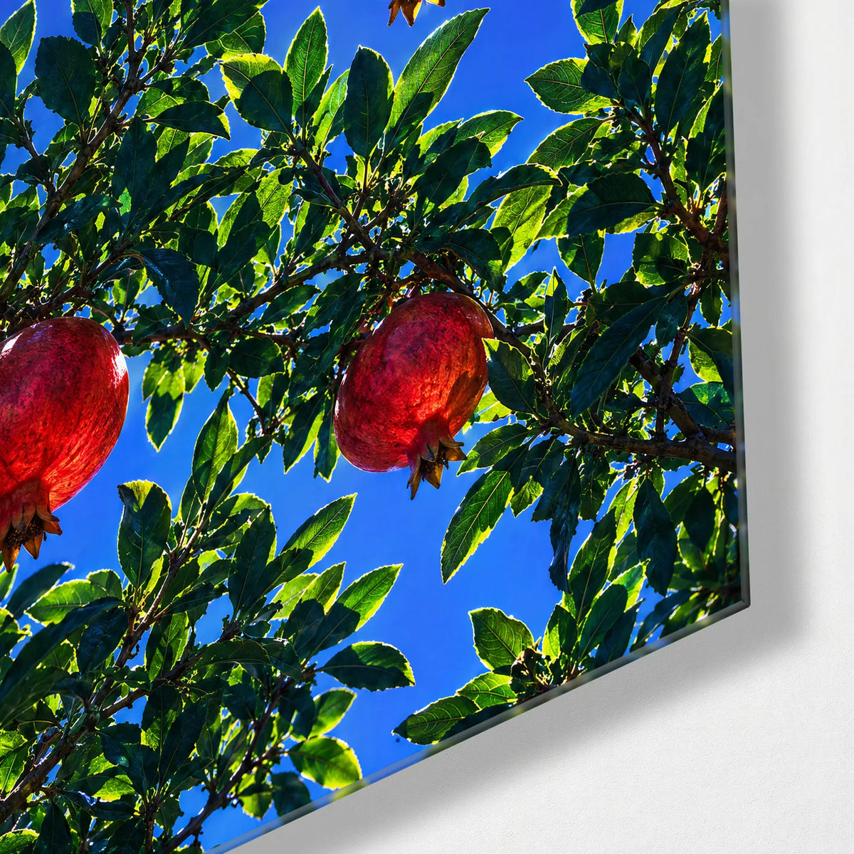 Pomegranates Overhead — corner detail of glass wall art