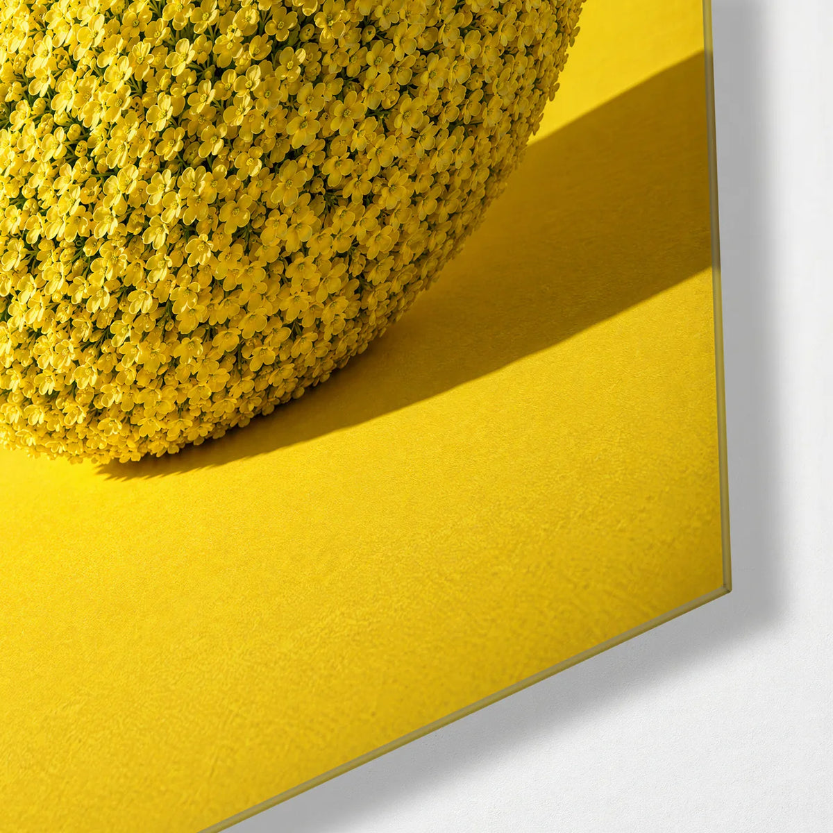 A Sphere of Flowers — corner detail of glass wall art