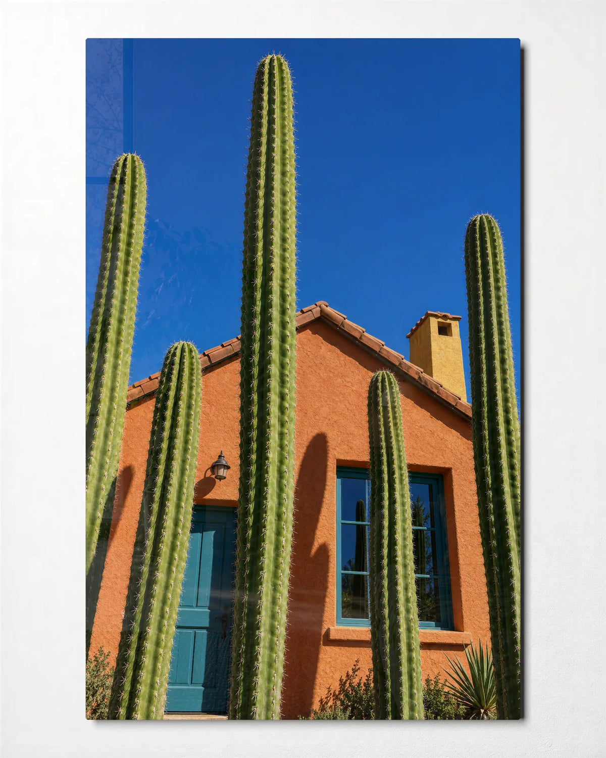 Cactus by the Blue Door — front view of glass wall art