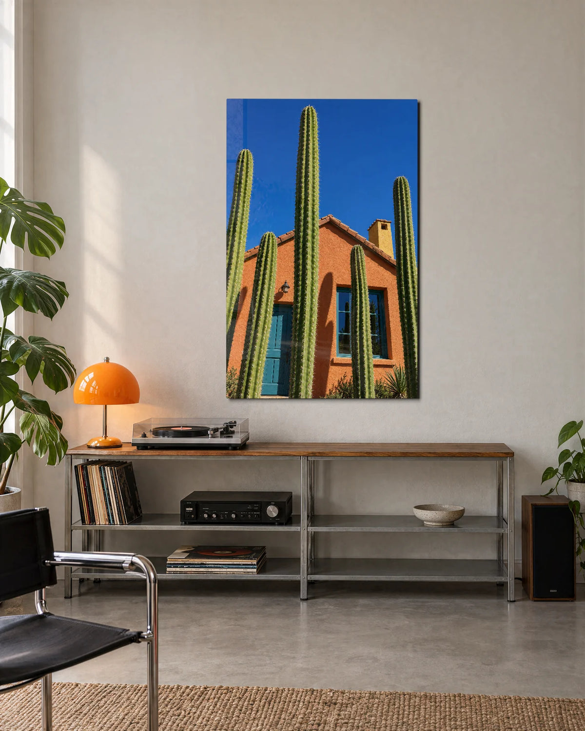 Cactus by the Blue Door — shown in a living space