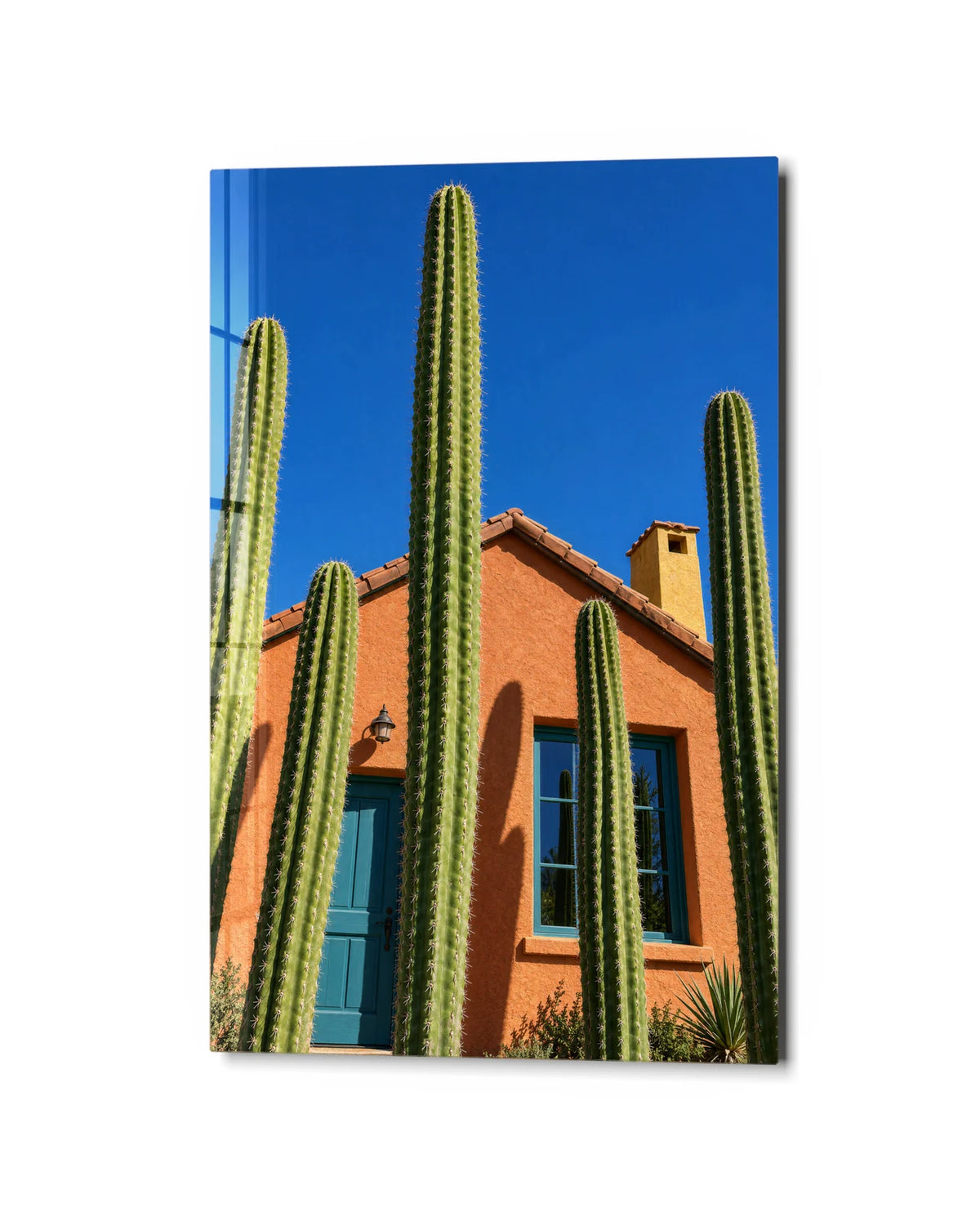 Cactus by the Blue Door — studio view of glass wall art