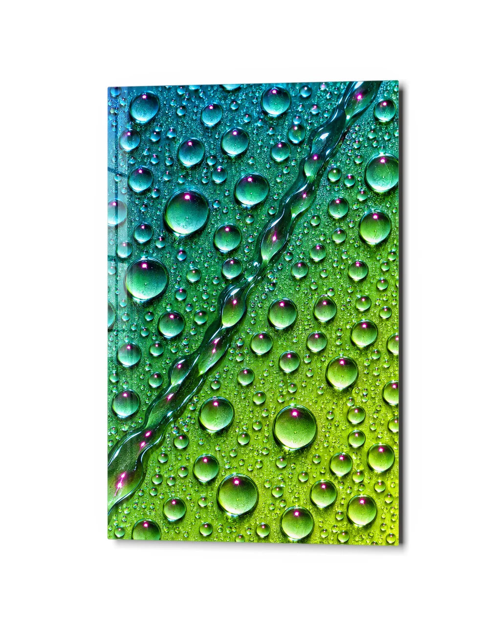 Dew in Two Colours — studio view of glass wall art